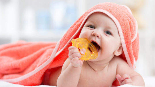 mordedores e a saúde bucal dos bebês